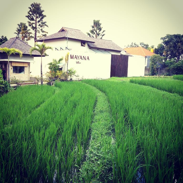 Mayana Villas Canggu Exteriör bild