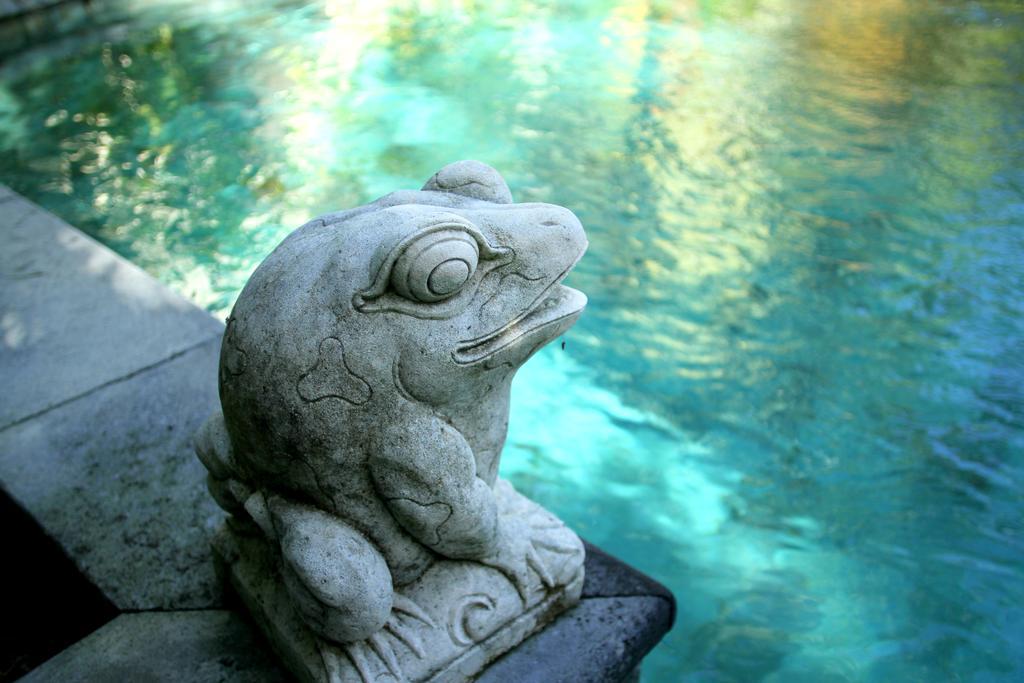 Mayana Villas Canggu Exteriör bild